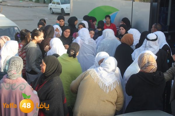 rebatramla323 (8).JPG